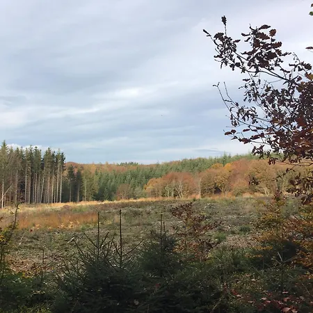 à Foyr ?